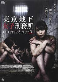 东京地下女子监狱3：淫乱女囚调教实录 海报